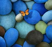 pic for butterfly and stones 1440x1280